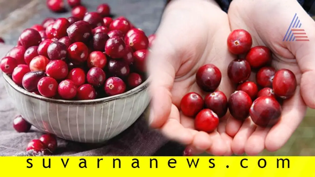 ತ್ವಚೆಗೆ ಹೊಸ ಜೀವ ಕೊಡುತ್ತೆ ಕ್ರೇನ್ ಬೆರ್ರಿ ! ತ್ವಚೆಗೆ ಹೊಸ ಜೀವ ಕೊಡುತ್ತೆ ಕ್ರೇನ್ ಬೆರ್ರಿ !