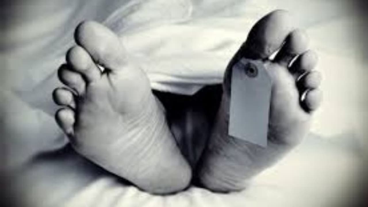 കൊച്ചിയിൽ യുവാവിന്റെ മൃതദേഹം ചതുപ്പിൽ കെട്ടിത്താഴ്ത്തിയ നിലയിൽ; കൊലപാതകമെന്ന് സംശയം