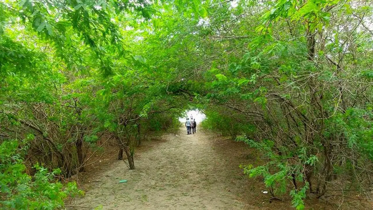 কলকাতার কাছেই ছোট্ট দ্বীপ! সাগর জঙ্গল একসঙ্গে উপভোগ করতে খরচ পড়বে কত কলকাতার কাছেই ছোট্ট দ্বীপ! সাগর জঙ্গল একসঙ্গে উপভোগ করতে খরচ পড়বে কত