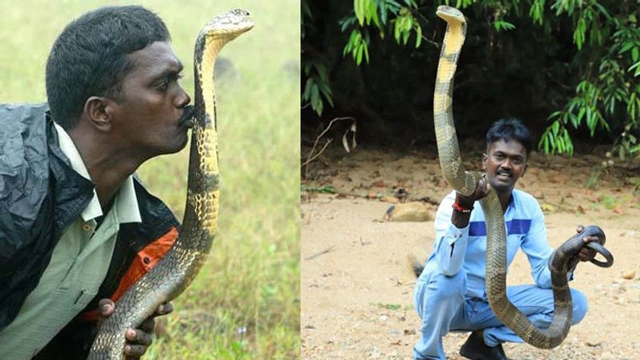 'ആശുപത്രി വാസം കഴിഞ്ഞ് പുറത്തിറങ്ങുമ്പോഴെങ്കിലും വാവ സുരേഷ് മണ്ടത്തരങ്ങൾ തിരിച്ചറിയണം' ഡോക്ടറുടെ കുറിപ്പ് 'ആശുപത്രി വാസം കഴിഞ്ഞ് പുറത്തിറങ്ങുമ്പോഴെങ്കിലും വാവ സുരേഷ് മണ്ടത്തരങ്ങൾ തിരിച്ചറിയണം' ഡോക്ടറുടെ കുറിപ്പ്