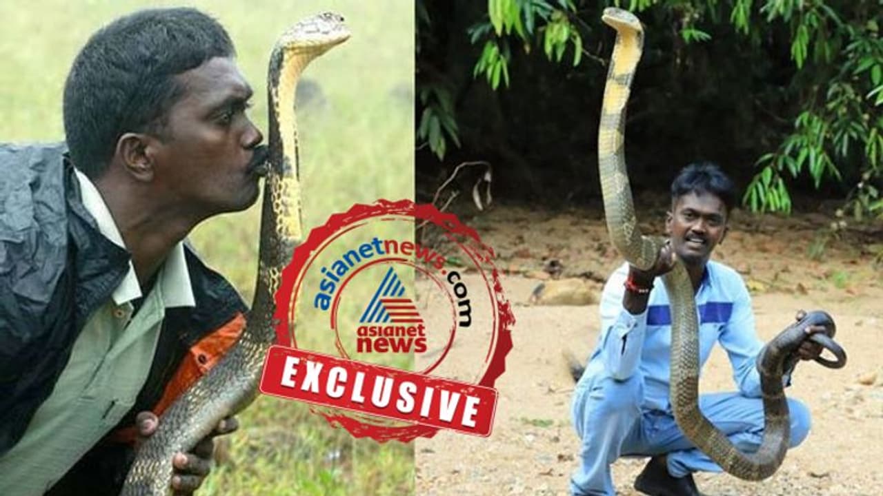 വാവ സുരേഷ് പാമ്പുപിടുത്തം നിര്ത്തുന്നു; കാരണം പാമ്പിനേക്കാള് വിഷമുള്ള 'ചിലര്' വാവ സുരേഷ് പാമ്പുപിടുത്തം നിര്ത്തുന്നു; കാരണം പാമ്പിനേക്കാള് വിഷമുള്ള 'ചിലര്'