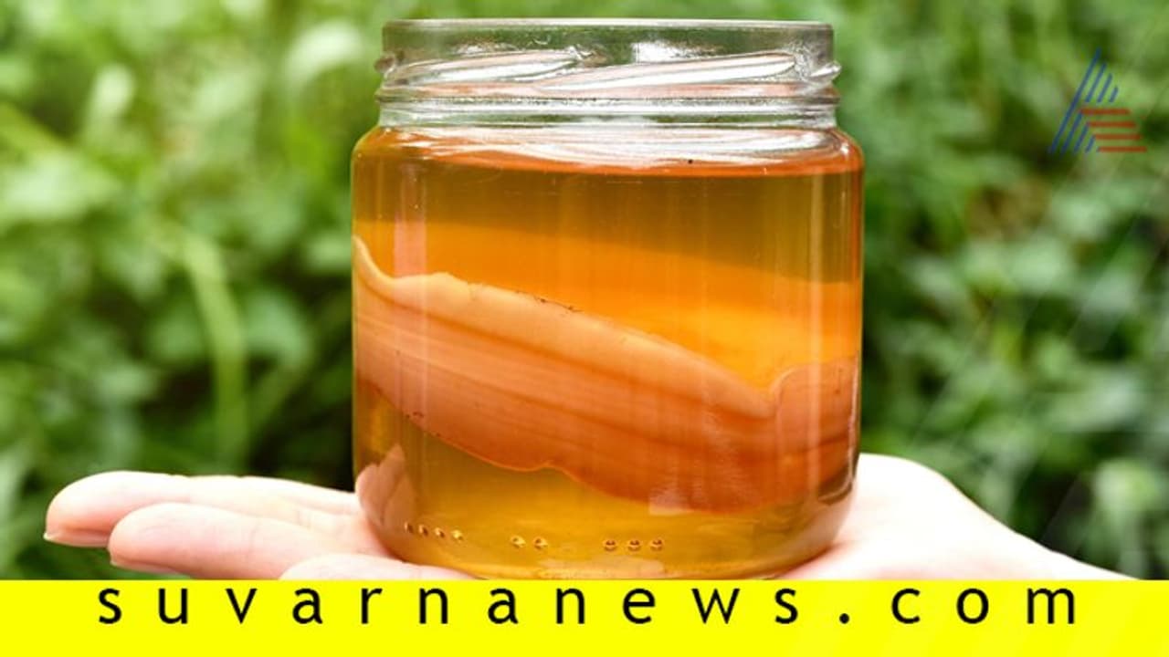 2000 ವರ್ಷ ಇತಿಹಾಸವಿರುವ ಕೊಂಬುಚ ಟೀ ಈಗ ಟ್ರೆಂಡೀ!