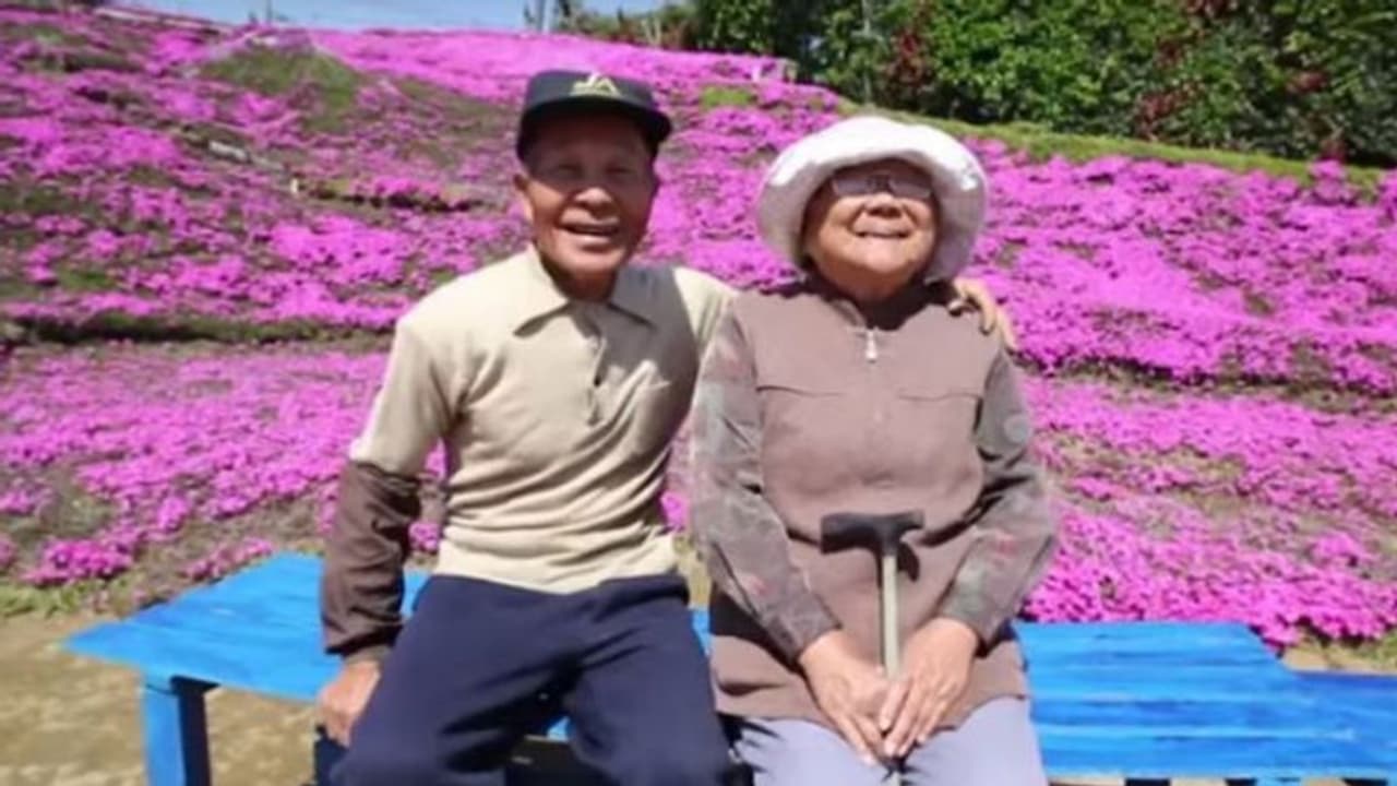 കാഴ്ചയില്ലാത്ത ഭാര്യക്ക് വേണ്ടി പൂക്കള് കൊണ്ട് സാമ്രാജ്യമൊരുക്കിയ ഭര്ത്താവ്; എന്തിനെന്നോ? കാഴ്ചയില്ലാത്ത ഭാര്യക്ക് വേണ്ടി പൂക്കള് കൊണ്ട് സാമ്രാജ്യമൊരുക്കിയ ഭര്ത്താവ്; എന്തിനെന്നോ?