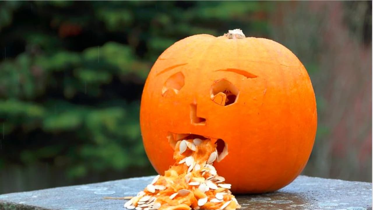 বাসে উঠলেই বমি! মুক্তি পেতে মাথায় রাখুন কয়েকটি টিপস