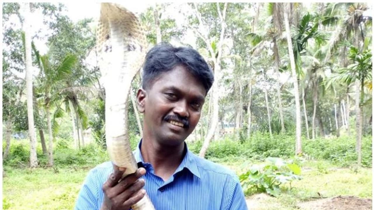 അണലിയുടെ കടിയേറ്റ് വാവാ സുരേഷ് ആശുപത്രിയില് അണലിയുടെ കടിയേറ്റ് വാവാ സുരേഷ് ആശുപത്രിയില്