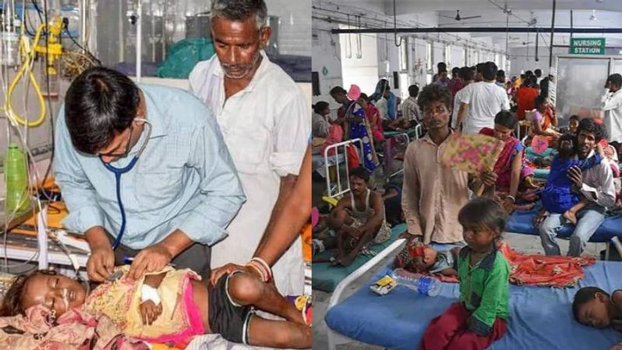 ಬಿಹಾರ ಮಕ್ಕಳ ಸಾವಿಗೆ ಕಲ್ನಾರು ಶೀಟು ಕಾರಣ? ಬಿಹಾರ ಮಕ್ಕಳ ಸಾವಿಗೆ ಕಲ್ನಾರು ಶೀಟು ಕಾರಣ?