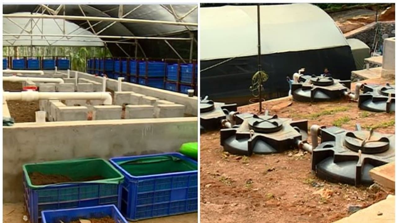 കക്കൂസ് മാലിന്യത്തിൽ നിന്ന് ജൈവവളം; സംസ്ഥാനത്തെ ആദ്യ പ്ലാന്റ് കൽപ്പറ്റയിൽ ഒരുങ്ങുന്നു കക്കൂസ് മാലിന്യത്തിൽ നിന്ന് ജൈവവളം; സംസ്ഥാനത്തെ ആദ്യ പ്ലാന്റ് കൽപ്പറ്റയിൽ ഒരുങ്ങുന്നു