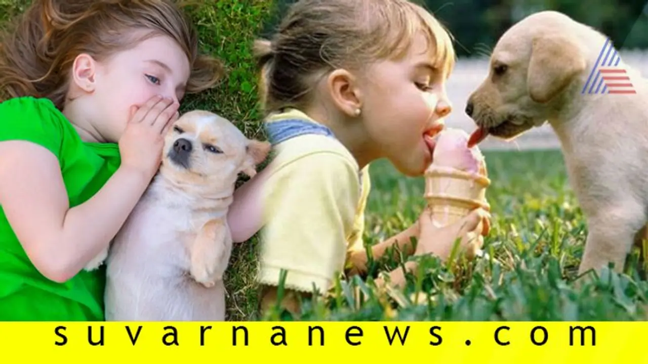 ಸಾಕುಪ್ರಾಣಿಗಳೊಂದಿಗೆ ಮಾತನಾಡೋರು ಹೆಚ್ಚು ಬುದ್ಧಿವಂತ್ರು! ಸಾಕುಪ್ರಾಣಿಗಳೊಂದಿಗೆ ಮಾತನಾಡೋರು ಹೆಚ್ಚು ಬುದ್ಧಿವಂತ್ರು!