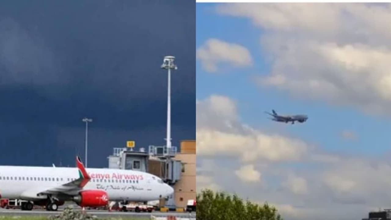 വിമാനത്തില് ഒളിച്ചുകടക്കാന് ശ്രമിച്ചയാള് യാത്രാമധ്യേ വീട്ടുമുറ്റത്ത് മരിച്ചുവീണു വിമാനത്തില് ഒളിച്ചുകടക്കാന് ശ്രമിച്ചയാള് യാത്രാമധ്യേ വീട്ടുമുറ്റത്ത് മരിച്ചുവീണു