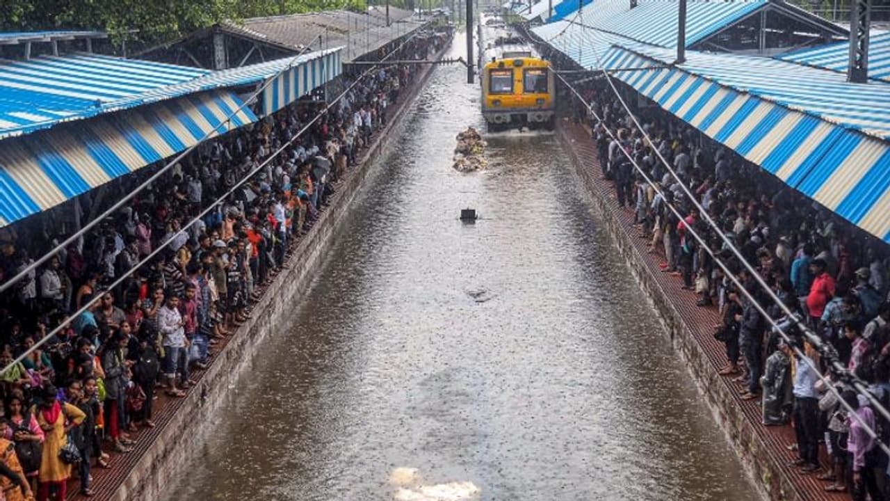 Mumbai suburban train services affected after tree falls at Mulund station