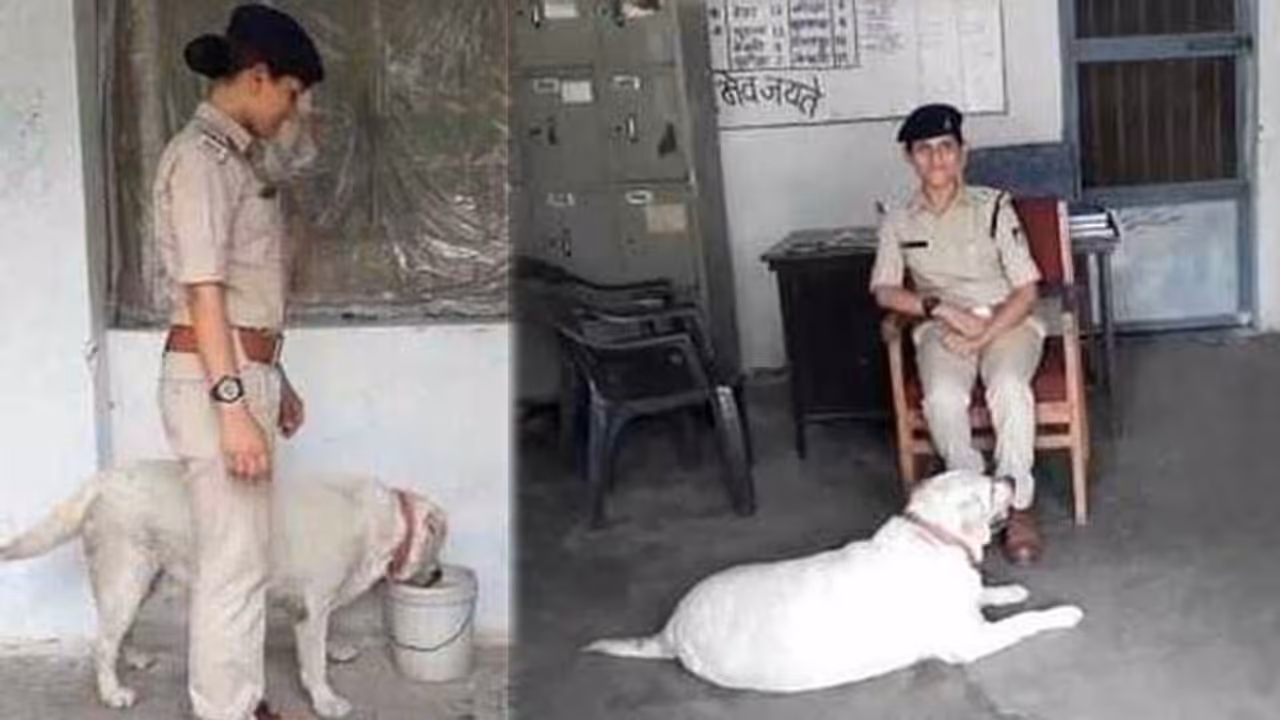 കൊലപാതകക്കേസില് വീട്ടുകാര് ജയിലില്; പൊലീസ് സ്റ്റേഷന് വീടാക്കി 'സുല്ത്താന്' കൊലപാതകക്കേസില് വീട്ടുകാര് ജയിലില്; പൊലീസ് സ്റ്റേഷന് വീടാക്കി 'സുല്ത്താന്'