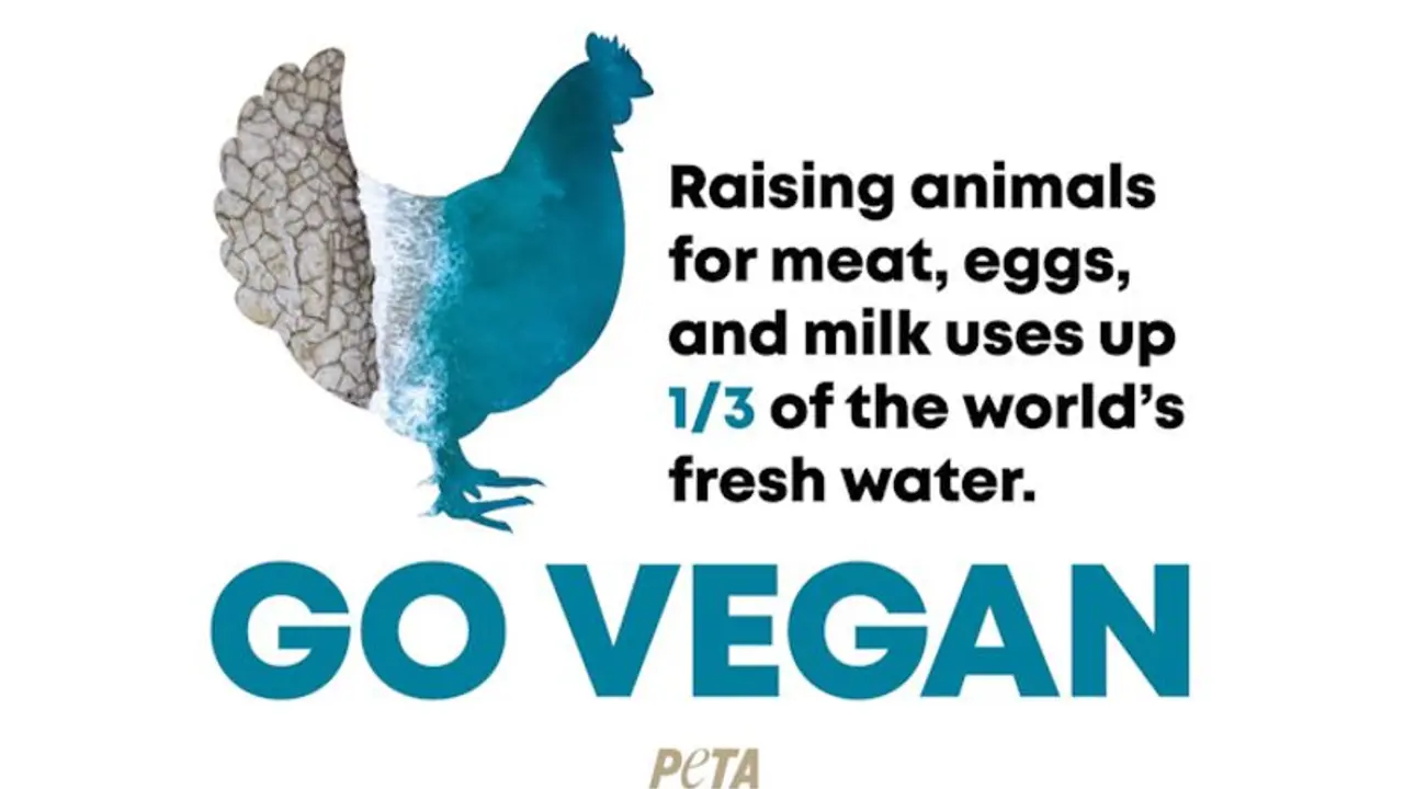 PETA India offers solution to save water with billboard in Bengaluru