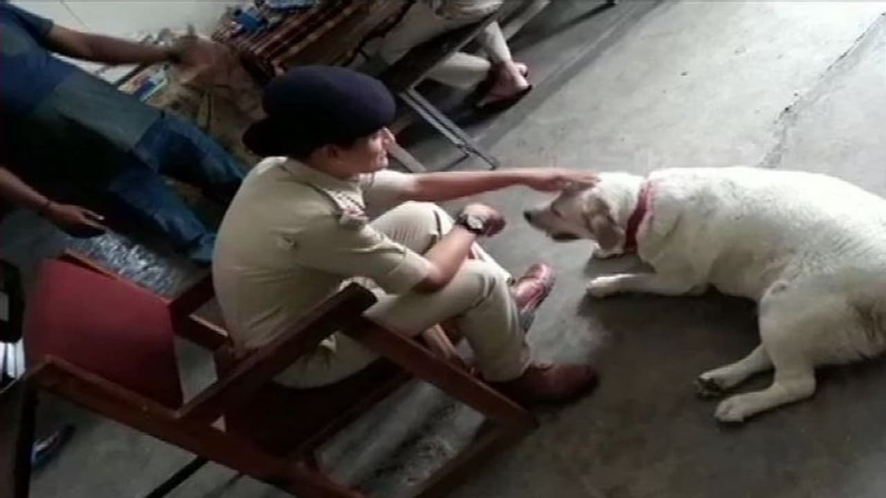 ಮಾಲೀಕ ಜೈಲಿಗೆ: ಠಾಣೆಯೇ ಮನೆಯಾಯ್ತು ಈ ನಾಯಿಗೆ!