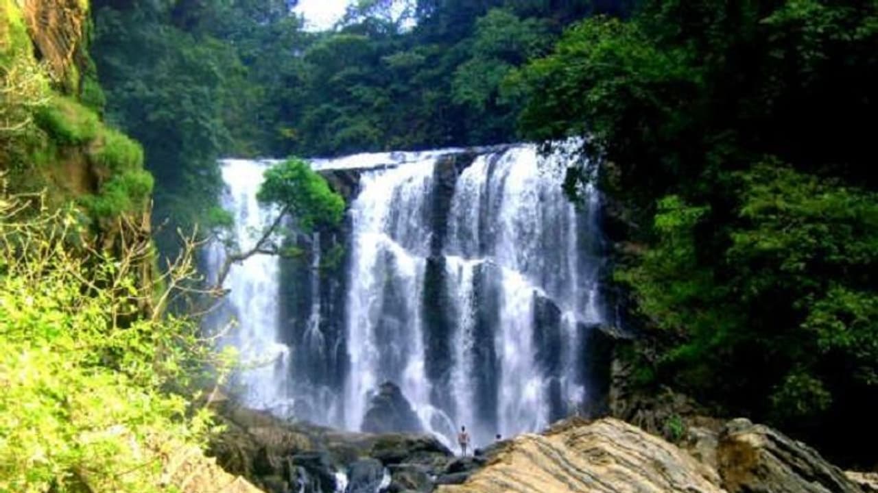 நீர்வீழ்ச்சியில் நனைந்தபடி பொது வெளியில் எல்லைமீறி சில்மிஷத்தில் ஈடுபட்ட காதல் ஜோடி ! தர்மஅடி கொடுத்த சுற்றுலாப் பயணிகள் !! நீர்வீழ்ச்சியில் நனைந்தபடி பொது வெளியில் எல்லைமீறி சில்மிஷத்தில் ஈடுபட்ட காதல் ஜோடி ! தர்மஅடி கொடுத்த சுற்றுலாப் பயணிகள் !!