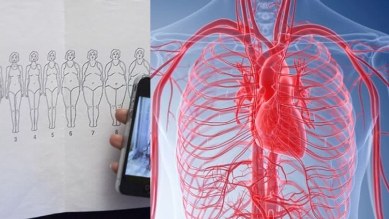 মহিলাদের শরীরের গঠনই বলে দেয় তাঁদের হার্ট কতটা সুস্থ