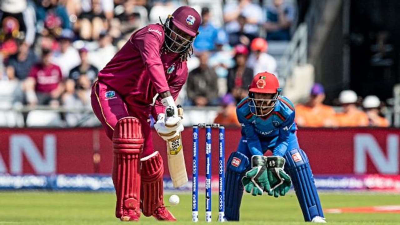 শেষ ম্যাচে শুরু থেকেই গেইল শো! নেভার আগে জ্বলে ওঠার ইঙ্গিত শেষ ম্যাচে শুরু থেকেই গেইল শো! নেভার আগে জ্বলে ওঠার ইঙ্গিত