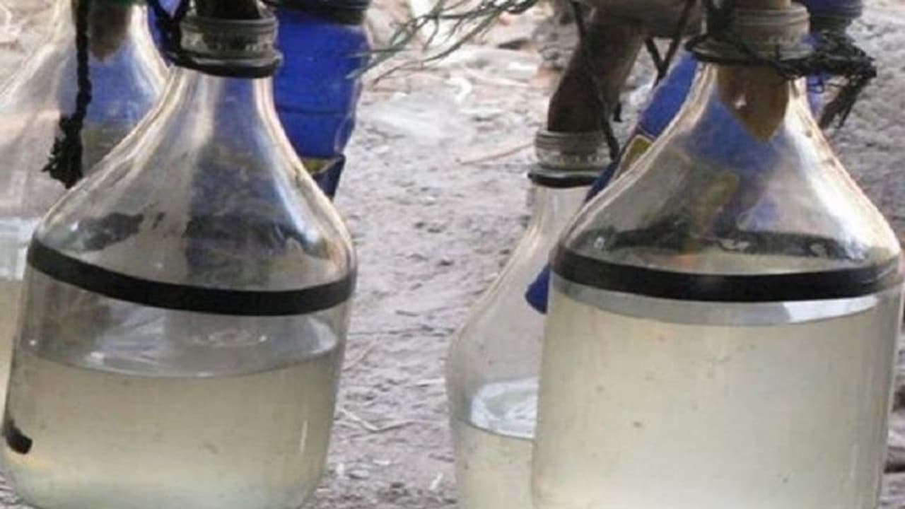 മാവടിയിൽ എട്ട് ലിറ്റർ ചാരായവും 120 ലിറ്റർ കോടയും പിടികൂടി മാവടിയിൽ എട്ട് ലിറ്റർ ചാരായവും 120 ലിറ്റർ കോടയും പിടികൂടി