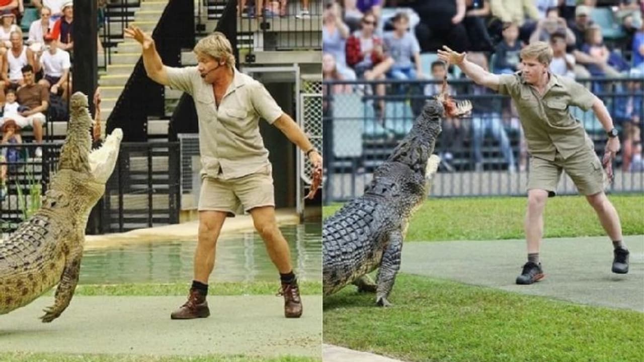 ತಂದೆ ರೀತಿ ಮೊಸಳೆಗೆ ಆಹಾರ ಕೊಟ್ಟ ಇರ್ವಿನ್ ಪುತ್ರ ತಂದೆ ರೀತಿ ಮೊಸಳೆಗೆ ಆಹಾರ ಕೊಟ್ಟ ಇರ್ವಿನ್ ಪುತ್ರ