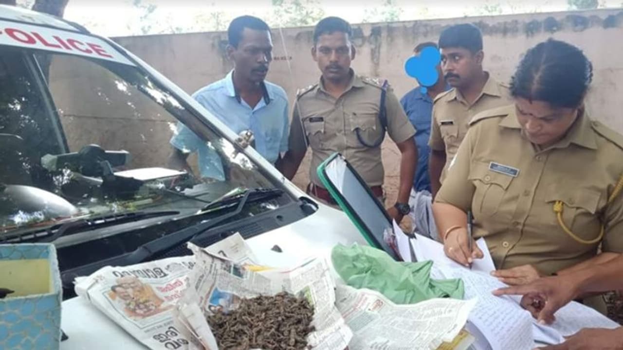 സ്കൂള് പരിസരത്ത് കഞ്ചാവ് വില്പ്പന; കാപ്പ കേസില് ശിക്ഷ കഴിഞ്ഞിറങ്ങിയ യുവാവ് പിടിയില് സ്കൂള് പരിസരത്ത് കഞ്ചാവ് വില്പ്പന; കാപ്പ കേസില് ശിക്ഷ കഴിഞ്ഞിറങ്ങിയ യുവാവ് പിടിയില്