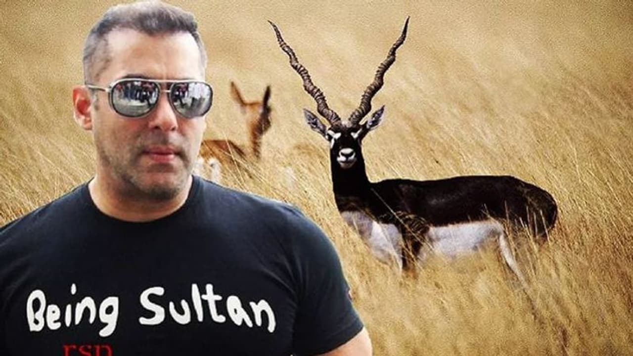 काला हिरण शिकार केस: कोर्ट में हाजिर नहीं हुए सलमान, तो फिर जाएंगे जेल काला हिरण शिकार केस: कोर्ट में हाजिर नहीं हुए सलमान, तो फिर जाएंगे जेल