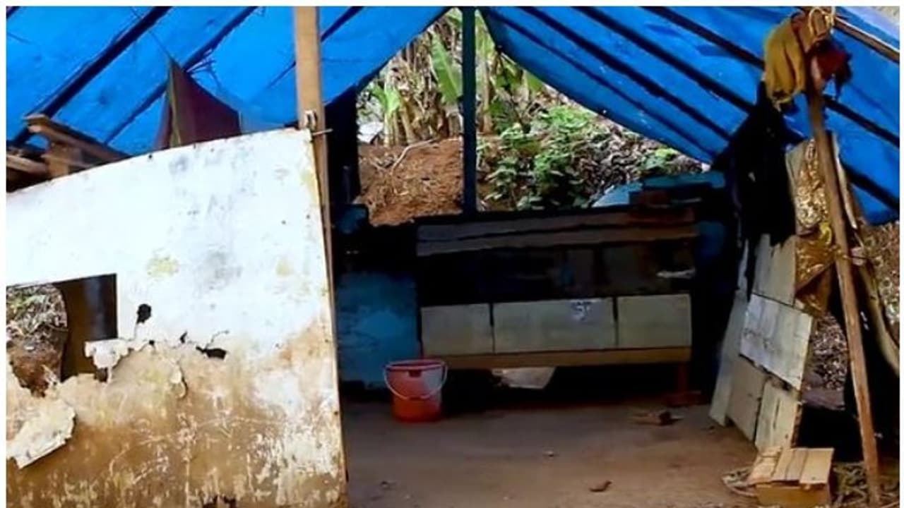 കാത്തിരിപ്പിന് വിരാമം; പുലപ്രക്കുന്ന് കോളനി നിവാസികളും ഇന്ന് ഭൂമിയുടെ അവകാശികളാകും കാത്തിരിപ്പിന് വിരാമം; പുലപ്രക്കുന്ന് കോളനി നിവാസികളും ഇന്ന് ഭൂമിയുടെ അവകാശികളാകും