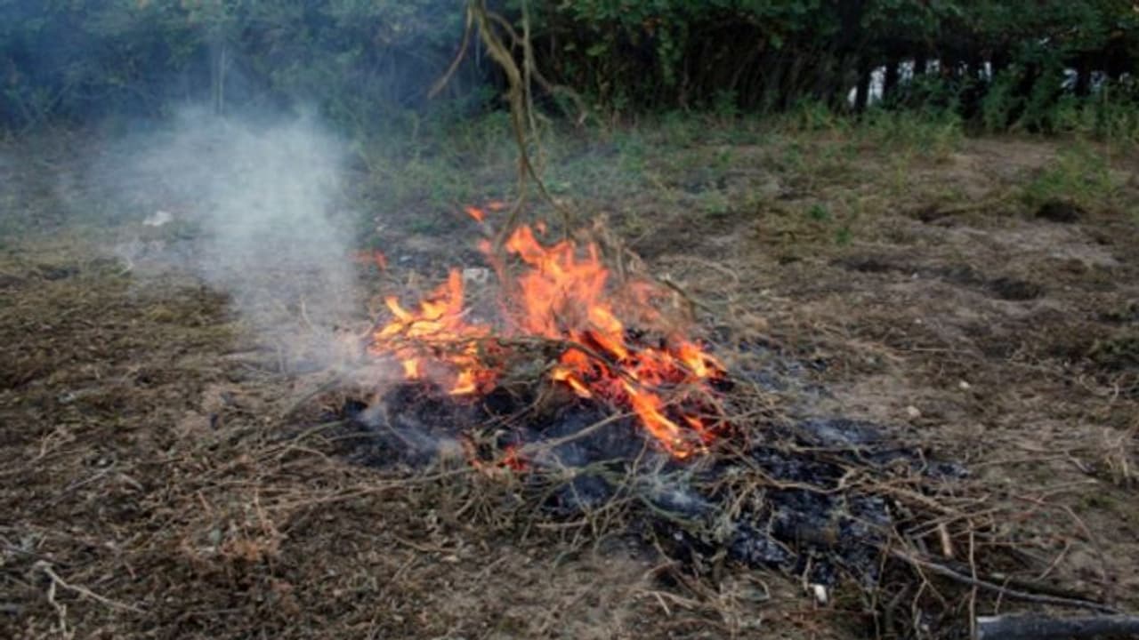 যেখানে সেখানে ময়লা পোড়ালে জেল জরিমানা, নোটিশ জারি কলকাতায়