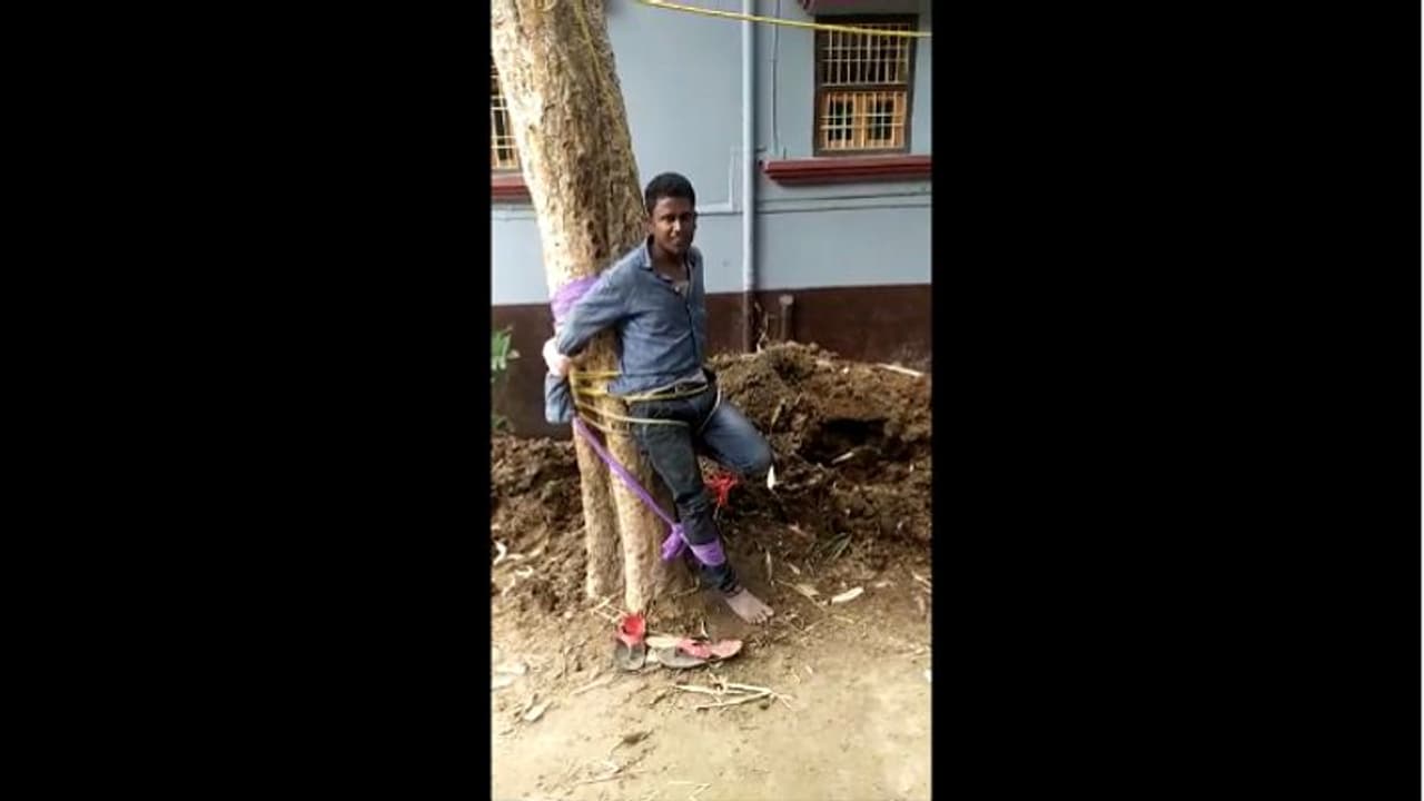 ससुर ने कुछ यूं की दामाद की आवभगत, पेड़ से बांधकर खूब पिटवाया ससुर ने कुछ यूं की दामाद की आवभगत, पेड़ से बांधकर खूब पिटवाया