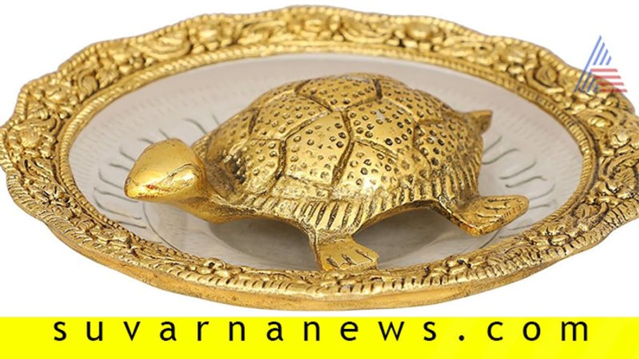 ಆರೋಗ್ಯ ಭಾಗ್ಯಕ್ಕಾಗಿ ಆಮೆ ವಾಸ್ತು!