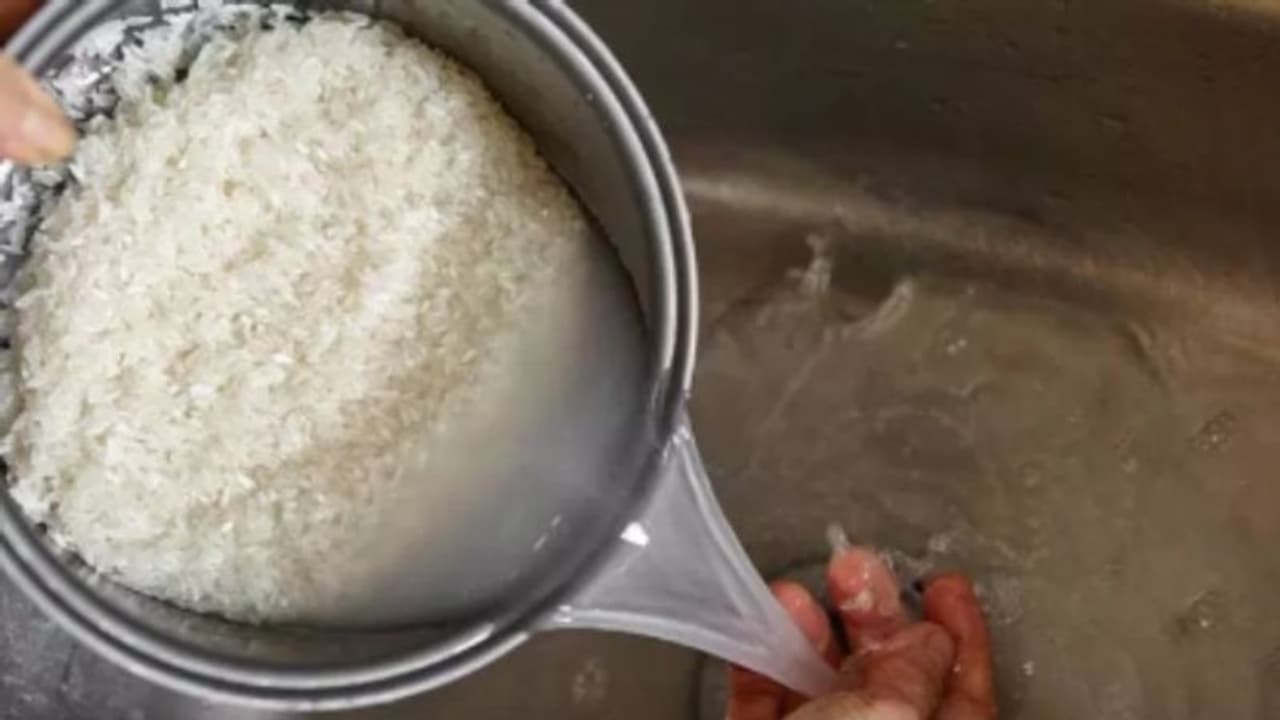 ভাতের মাড় ফেলবেন না! ঠিকমতো ব্যবহারে পাবেন ম্যাজিকের মতো ফল ভাতের মাড় ফেলবেন না! ঠিকমতো ব্যবহারে পাবেন ম্যাজিকের মতো ফল