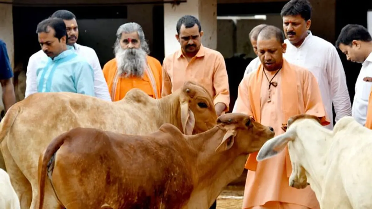 सीएम योगी ने निकाली अनोखी तरकीब, कहा  ऐसे रुकेगी मॉब लिंचिंग