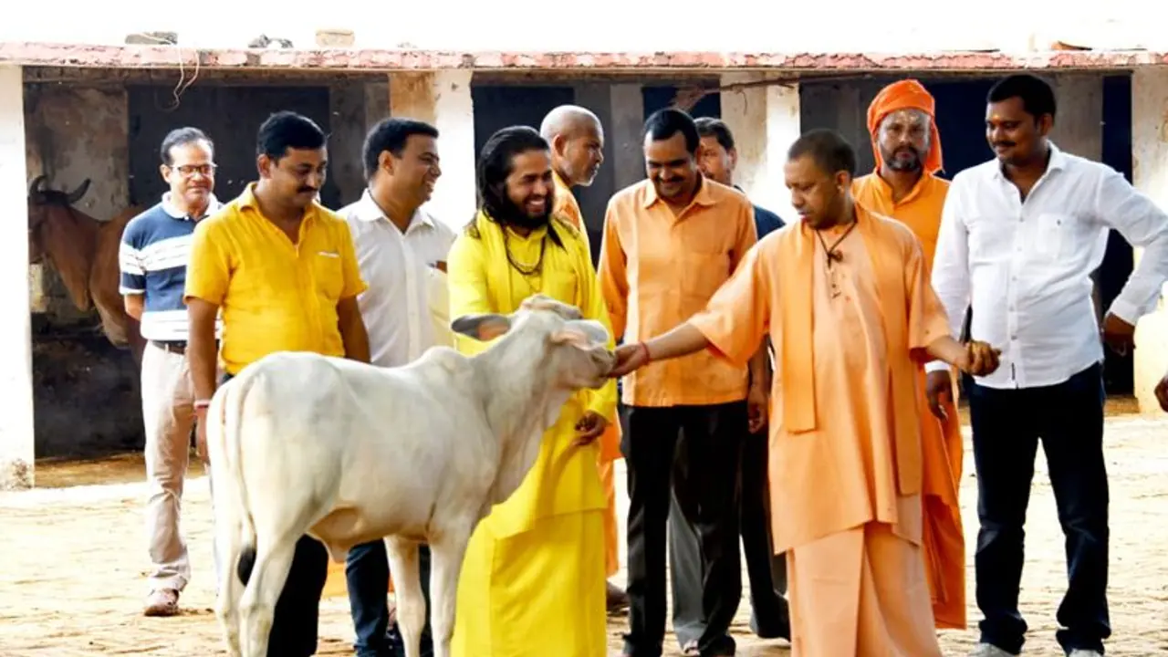 गोवंश की रक्षा के लिए मुख्यमंत्री योगी आदित्यनाथ ने निकाला यह तरीका
