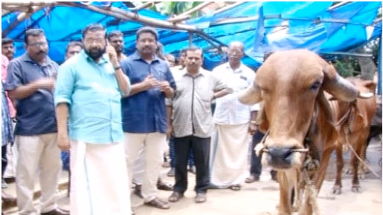 പരിചാരകരില്ലാതെ പത്മനാഭ സ്വാമി ക്ഷേത്ര ഗോശാല; നരകിച്ച് പശുക്കൾ; പരിശോധിക്കുമെന്ന് മന്ത്രി പരിചാരകരില്ലാതെ പത്മനാഭ സ്വാമി ക്ഷേത്ര ഗോശാല; നരകിച്ച് പശുക്കൾ; പരിശോധിക്കുമെന്ന് മന്ത്രി