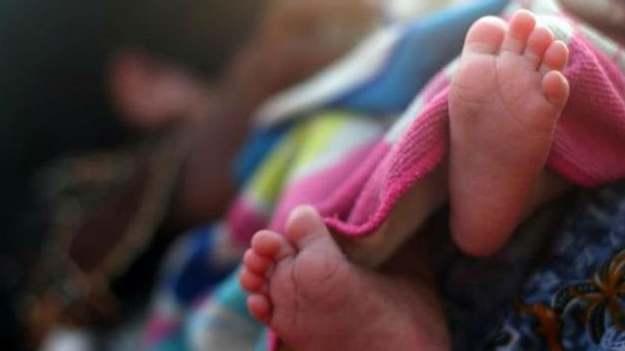 'റമ്പുട്ടാന് കുരു തൊണ്ടയില് കുടുങ്ങി കുഞ്ഞ് മരിച്ചു'; നമ്മള് മറന്നുപോകാന് പാടില്ലാത്ത വാര്ത്ത! 'റമ്പുട്ടാന് കുരു തൊണ്ടയില് കുടുങ്ങി കുഞ്ഞ് മരിച്ചു'; നമ്മള് മറന്നുപോകാന് പാടില്ലാത്ത വാര്ത്ത!