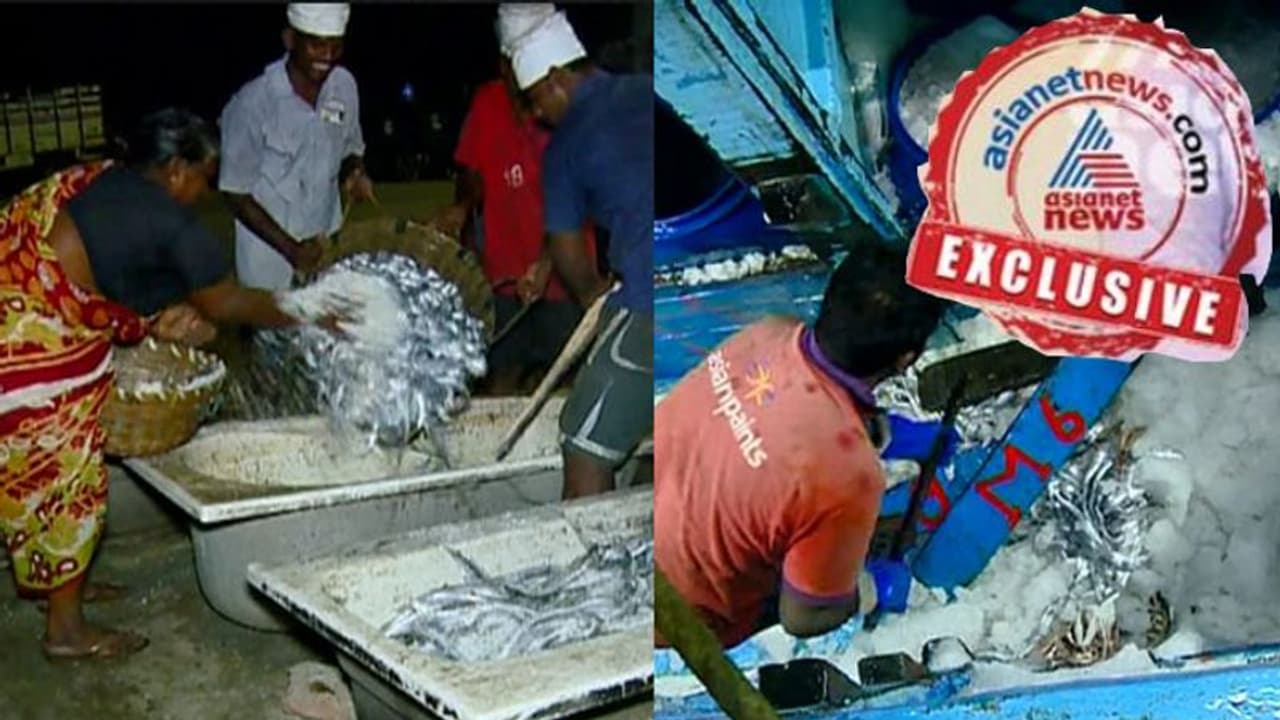 കരൾ രോഗം മുതൽ കാൻസർ വരെ; തമിഴ്നാട്ടിൽ നിന്ന് കേരളത്തിലേക്ക് കൊണ്ടുവരുന്ന മത്സ്യങ്ങളിൽ മാരക വിഷാംശം കരൾ രോഗം മുതൽ കാൻസർ വരെ; തമിഴ്നാട്ടിൽ നിന്ന് കേരളത്തിലേക്ക് കൊണ്ടുവരുന്ന മത്സ്യങ്ങളിൽ മാരക വിഷാംശം