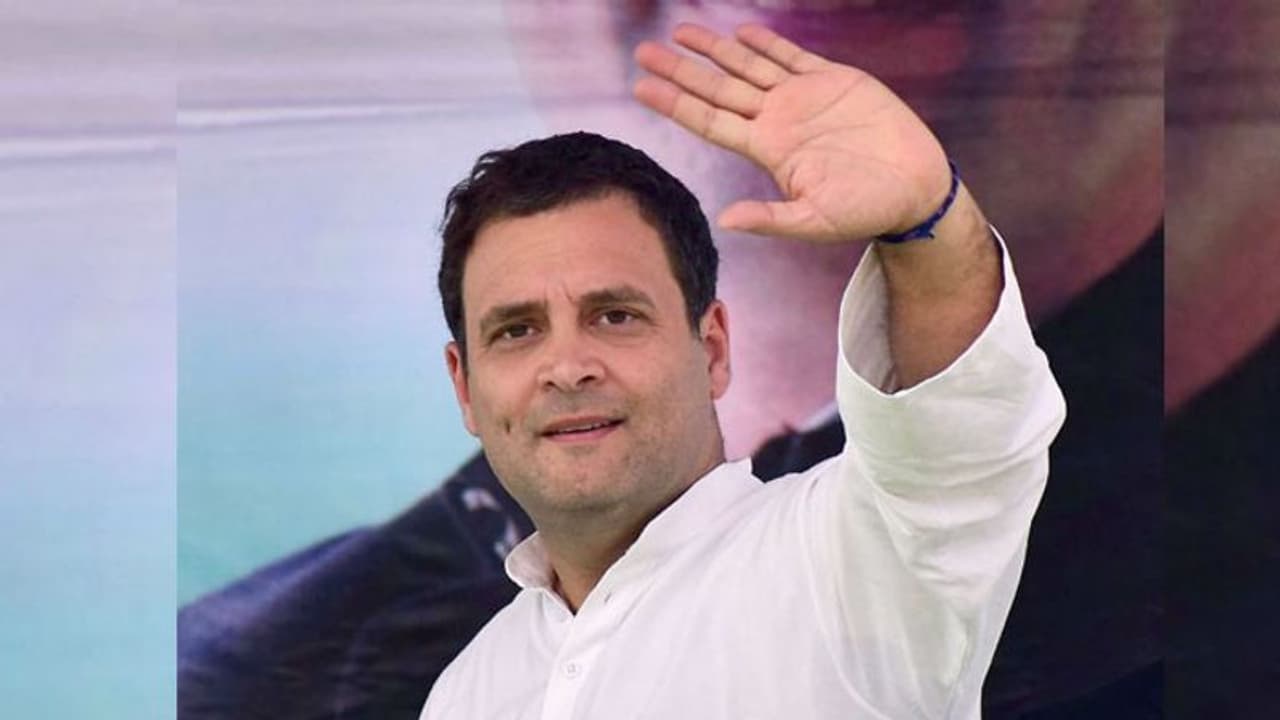 ಟ್ವಿಟರ್ನಲ್ಲಿ 1 ಕೋಟಿ ಬೆಂಬಲಿಗರು; ಅಮೇಥಿಯಲ್ಲಿ ರಾಹುಲ್ ಗಾಂಧಿ ಸಂಭ್ರಮಾಚರಣೆ ಟ್ವಿಟರ್ನಲ್ಲಿ 1 ಕೋಟಿ ಬೆಂಬಲಿಗರು; ಅಮೇಥಿಯಲ್ಲಿ ರಾಹುಲ್ ಗಾಂಧಿ ಸಂಭ್ರಮಾಚರಣೆ