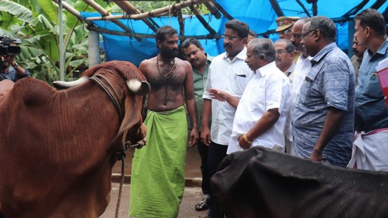 സ്വകാര്യ ഗോശാലയില് പട്ടിണി കിടന്ന പശുക്കള്ക്ക് കാലിത്തീറ്റ എത്തിച്ചു സ്വകാര്യ ഗോശാലയില് പട്ടിണി കിടന്ന പശുക്കള്ക്ക് കാലിത്തീറ്റ എത്തിച്ചു
