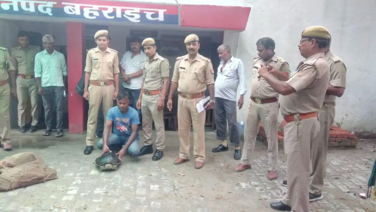 बहराइच में वन्यजीव तस्कर गिरफ्तार, बरामद हुए आठ दुर्लभ कछुए