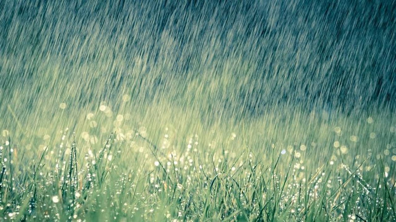 తెలుగు రాష్ట్రాలకు భారీ వర్షసూచన: మరో నాలుగు రోజులు వానలే తెలుగు రాష్ట్రాలకు భారీ వర్షసూచన: మరో నాలుగు రోజులు వానలే