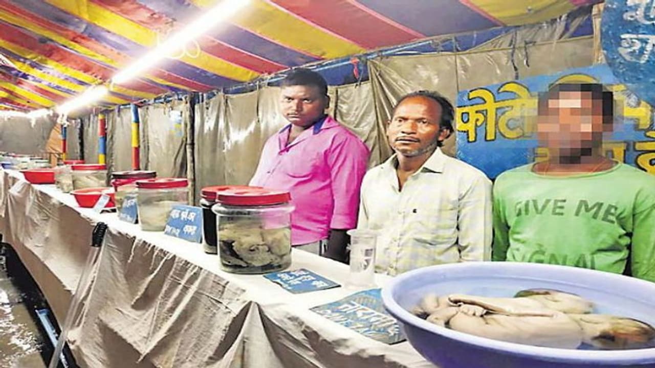 असली या रबर डॉल्स: जगन्नाथपुरी मेले में नवजात बच्चों के शवों की एग्जिबिशन! असली या रबर डॉल्स: जगन्नाथपुरी मेले में नवजात बच्चों के शवों की एग्जिबिशन!