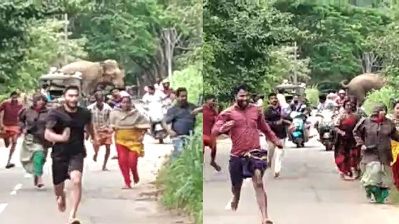 വയനാട്ടിൽ വനം വകുപ്പിന്റെ ജീപ്പ് തകർത്ത് കാട്ടാന, വിരണ്ടോടി നാട്ടുകാർ വീഡിയോ വയനാട്ടിൽ വനം വകുപ്പിന്റെ ജീപ്പ് തകർത്ത് കാട്ടാന, വിരണ്ടോടി നാട്ടുകാർ വീഡിയോ