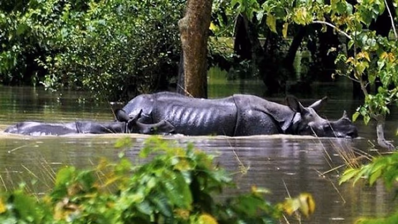 Assam floods: PM Modi speaks to CM Sonowal, assures Centre’s support