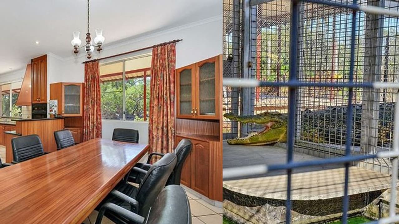 വീട് വാങ്ങുമ്പോള് മുതലകള് കൂടി സൗജന്യം; വന് ഓഫര്! വീട് വാങ്ങുമ്പോള് മുതലകള് കൂടി സൗജന്യം; വന് ഓഫര്!