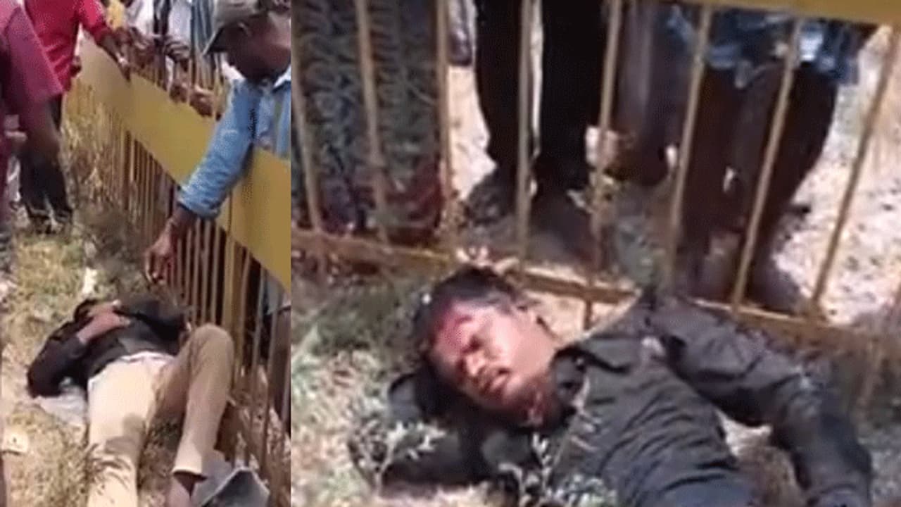 அடங்காத இளைஞர்கள்... ஹெல்மெட்டுக்குள் வெடித்து சிதறிய செல்போன்... தற்போதைய நிலை என்ன தெரியுமா..? அடங்காத இளைஞர்கள்... ஹெல்மெட்டுக்குள் வெடித்து சிதறிய செல்போன்... தற்போதைய நிலை என்ன தெரியுமா..?