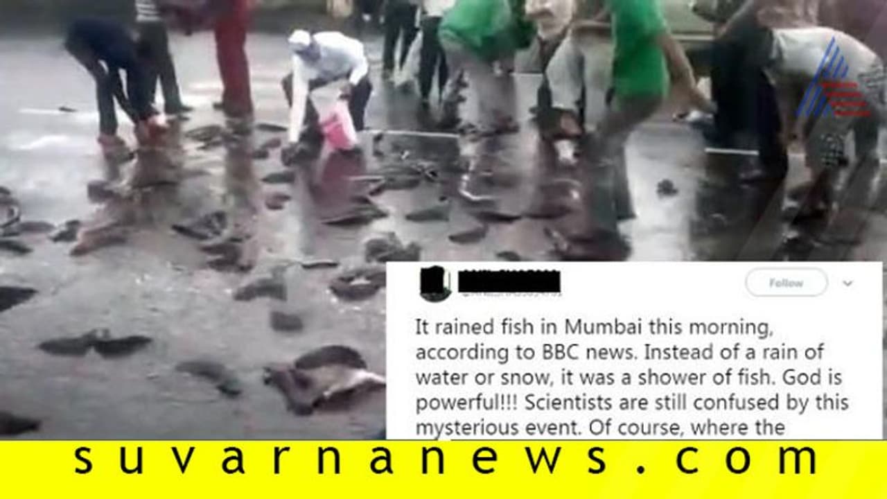 Fact Check: ವಾಣಿಜ್ಯ ನಗರಿ ಮುಂಬೈನಲ್ಲಿ ಮಳೆ ಸುರಿದಾಗ ಬಂದದ್ದು ನೀರಲ್ಲ, ಮೀನು?