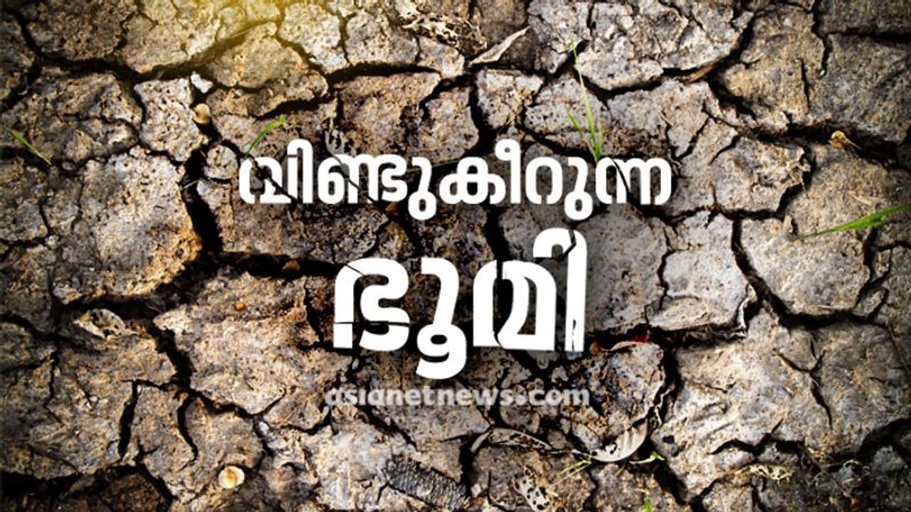ഭൂമിയിലെ 75 ശതമാനത്തിലധികം ഭൂപ്രദേശങ്ങളുടെയും അവസ്ഥ ഇതാണ്; പഠനം പറയുന്നത്