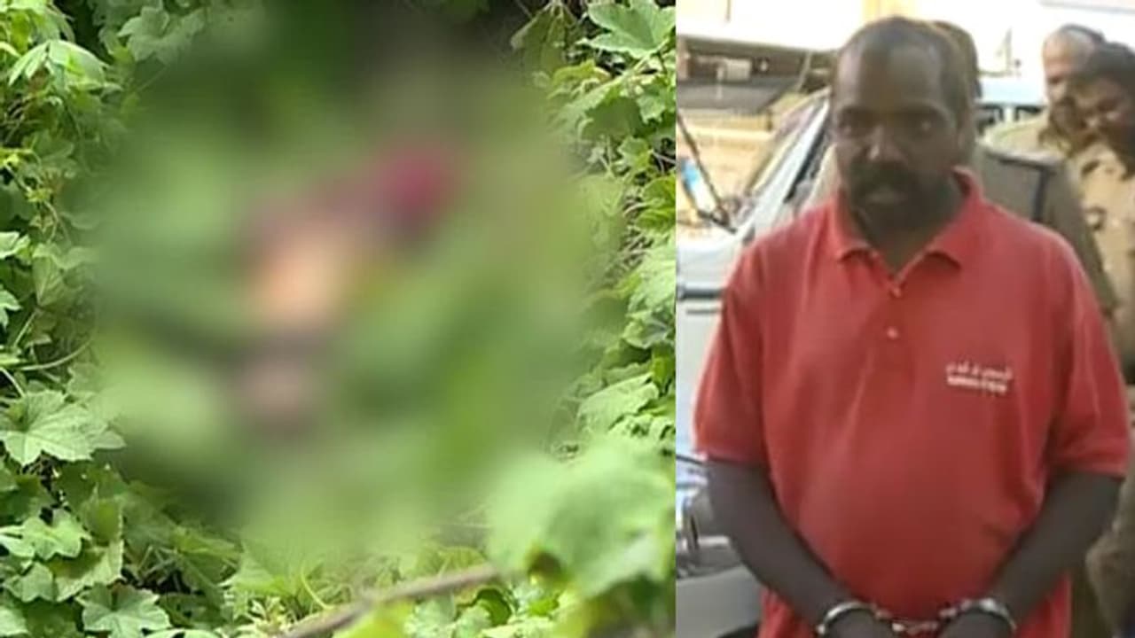 കോട്ടയത്ത് ലോട്ടറി വില്പ്പനക്കാരിയെ തലയ്ക്കടിച്ച് കൊന്ന സംഭവം; പ്രതി അറസ്റ്റിൽ കോട്ടയത്ത് ലോട്ടറി വില്പ്പനക്കാരിയെ തലയ്ക്കടിച്ച് കൊന്ന സംഭവം; പ്രതി അറസ്റ്റിൽ