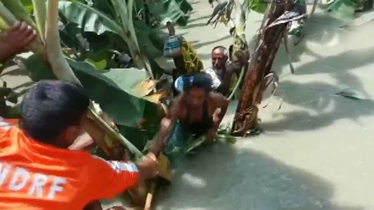 অসমে বন্যা কবলিত মানুষ আশ্রয় নিল কলাগাছে, উদ্ধারের ছবি ভাইরাল সোশ্যাল মিডিয়ায়