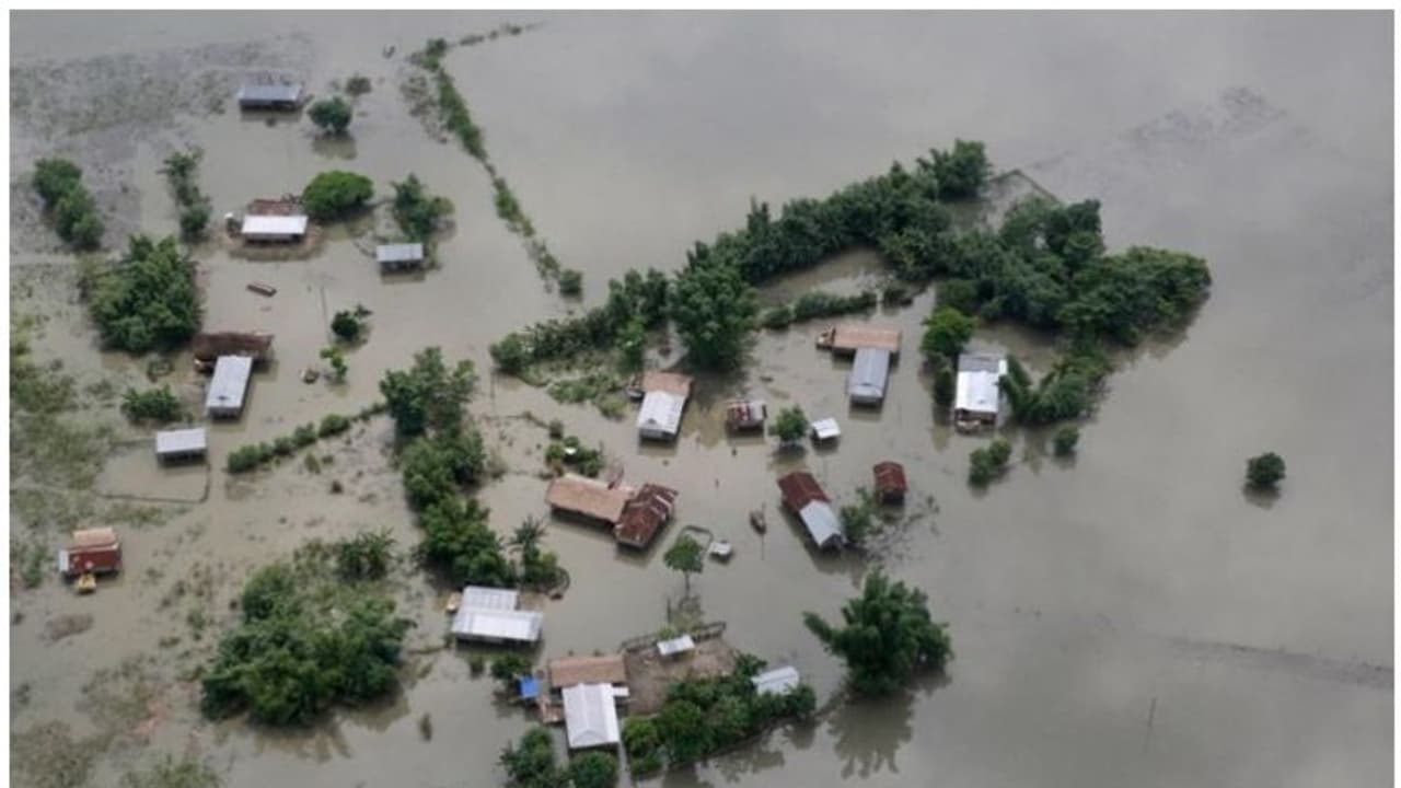 খানিকটা স্থিতিশীল অসমের পরিস্থিতি, বিহারে জারি মৃত্যু মিছিল খানিকটা স্থিতিশীল অসমের পরিস্থিতি, বিহারে জারি মৃত্যু মিছিল