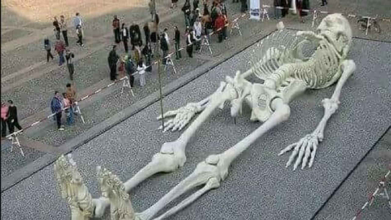 Fact Check| ಭೀಮನ ಮಗ ಘಟೋತ್ಕಜನ ಅಜಾನುಬಾಹು ಅಸ್ಥಿಪಂಜರ ಪತ್ತೆ! Fact Check| ಭೀಮನ ಮಗ ಘಟೋತ್ಕಜನ ಅಜಾನುಬಾಹು ಅಸ್ಥಿಪಂಜರ ಪತ್ತೆ!