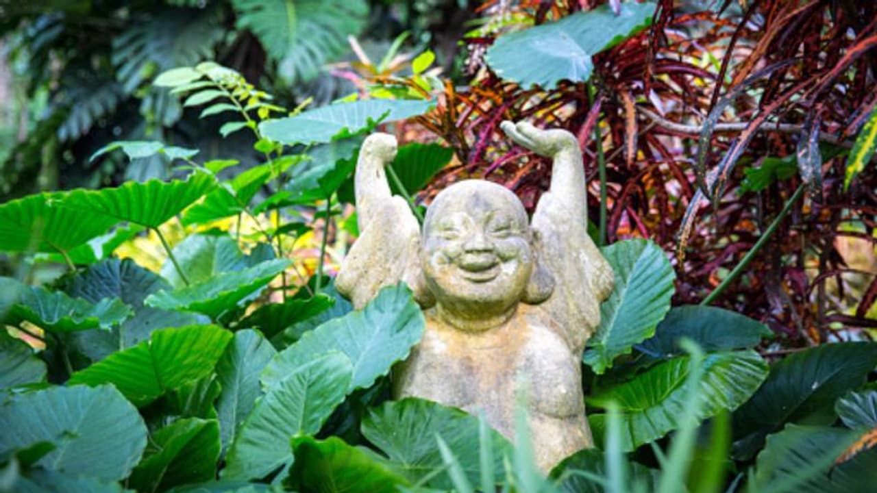 জেনে নিন বাড়ির কোথায় লাফিং বুদ্ধ রাখলে কী কী সুফল পাওয়া যায়